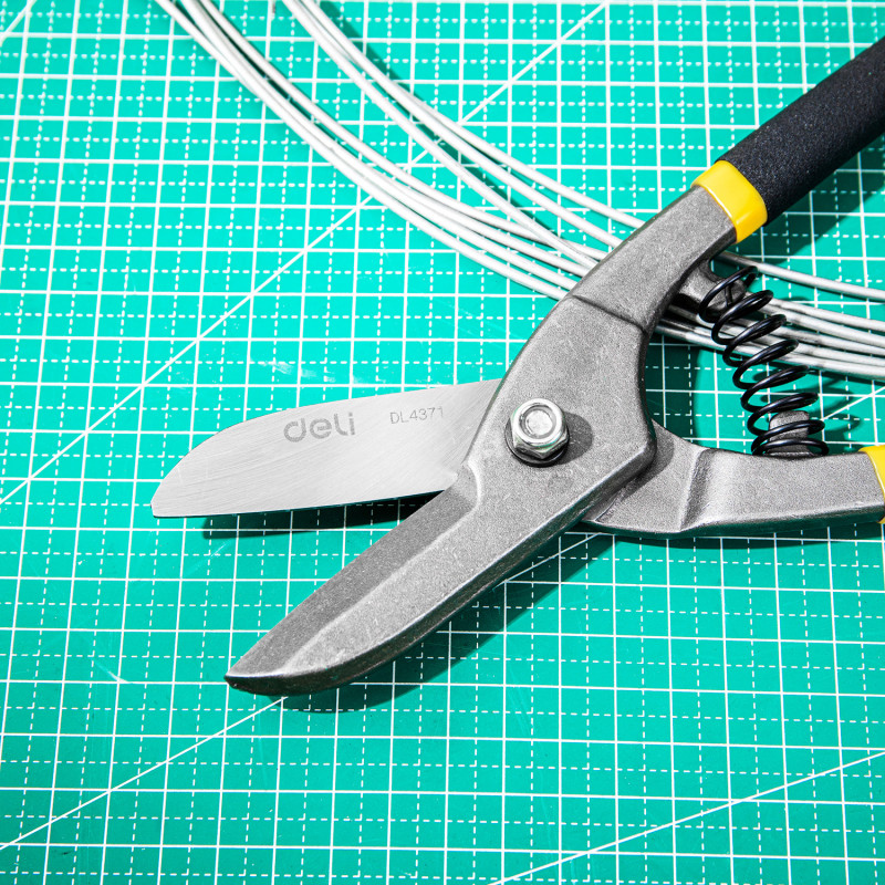 Tin Snip 250mm
